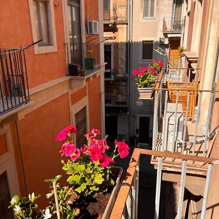 Welcome Catania Exterior photo